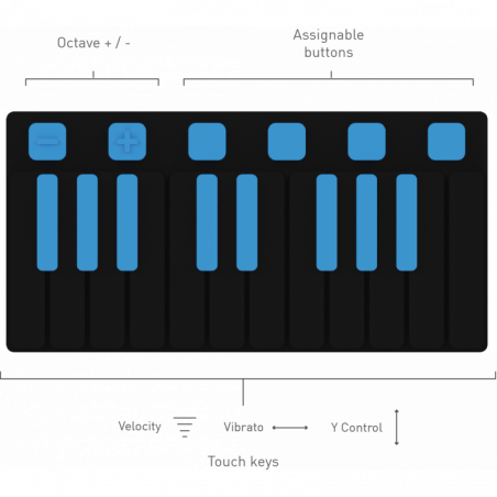 JOUE PRO SYNTH PAD