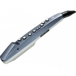 AE-01 AEROPHONE