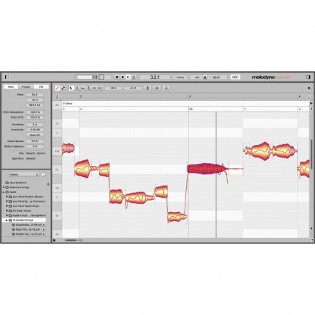 MELODYNE 5 ASSISTANT