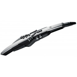 AE-30 AEROPHONE PRO