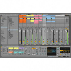 LIVE 11 STANDARD EDUCATION
