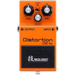 DS-1W