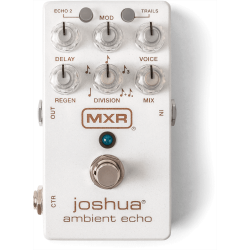 M309 JOSHUA AMBIENT ECHO