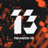 REASON 13