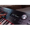 RD-2000 EX