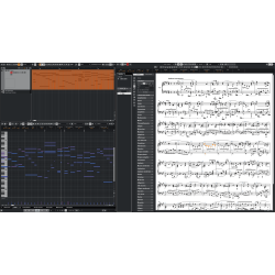 CUBASE ARTIST 14