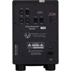 TS107 Subwoofer