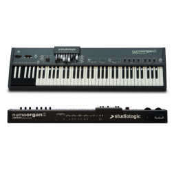 NUMA ORGAN 2