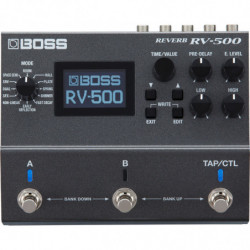 RV-500