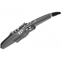 AE-10G AEROPHONE