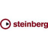 STEINBERG